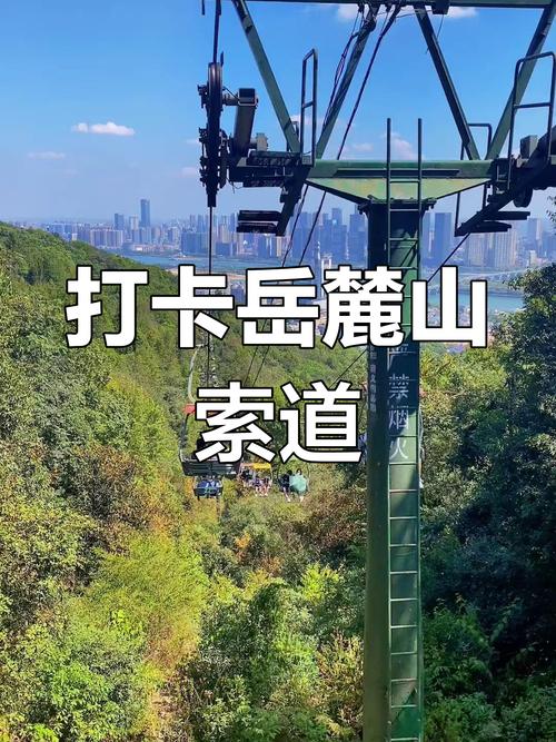 2025年5月 第3页