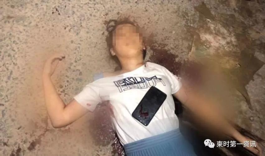 下载中心 第12页